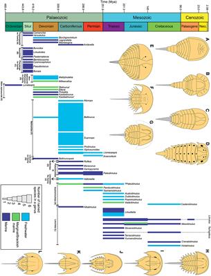 Pictorial Atlas of Fossil and Extant Horseshoe Crabs, With Focus on Xiphosurida